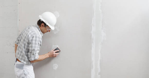 Best Real Estate Mold Inspection  in Madison, FL