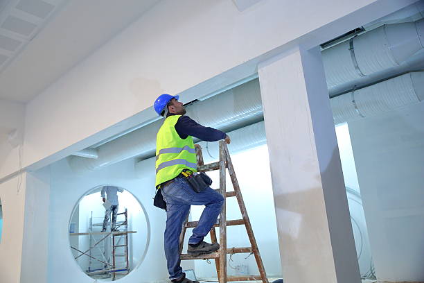 Best Black Mold Removal  in Madison, FL