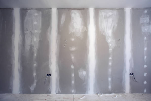 Best Post-Construction Mold Inspection  in Madison, FL